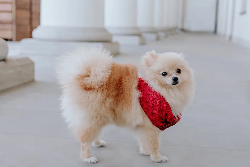 Bowl and Bone Luxury Chimney Dog Scarf Red