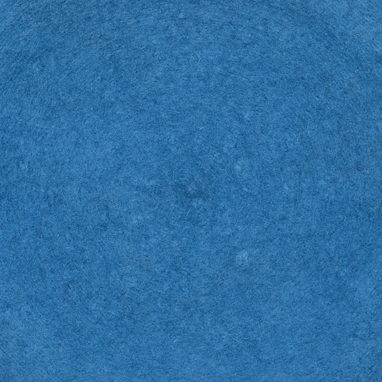Military Beret in UN Blue